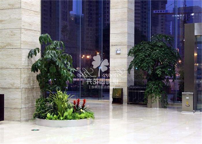 大厅花卉植物租赁